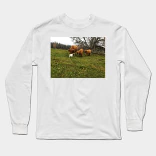 Scottish Highland Cattle Calves and Cat 1838 Long Sleeve T-Shirt